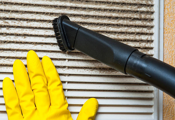 Air Duct Mold Removal in MD